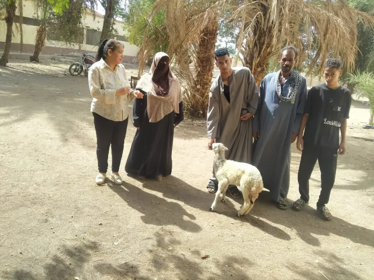 جانب من متابعة 