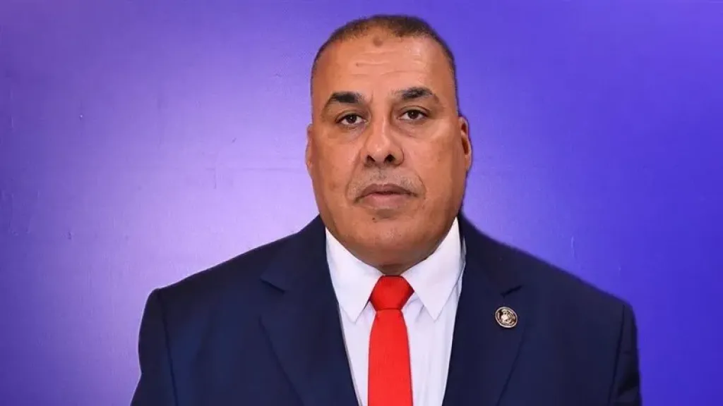 النائب محمد عبدالعال أبو النصر