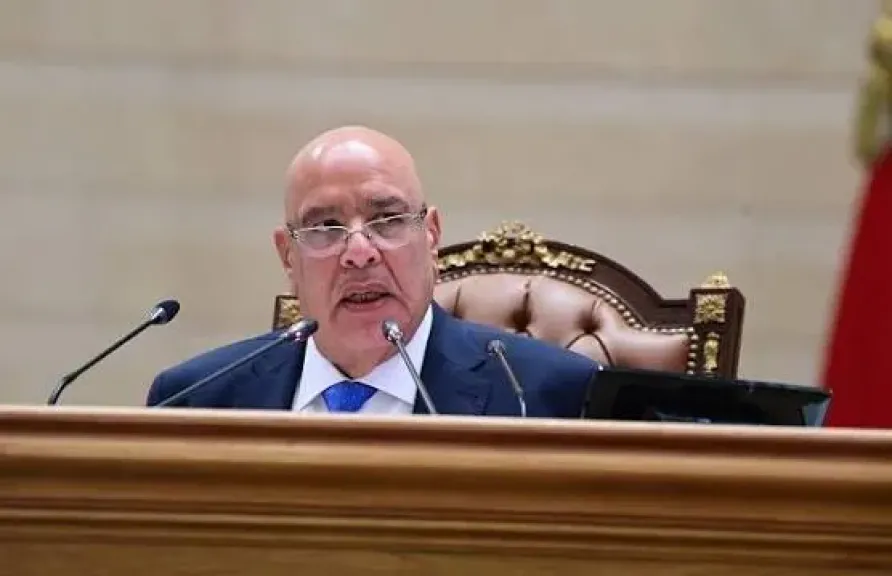المستشار هشام بدوي، رئيس المجلس