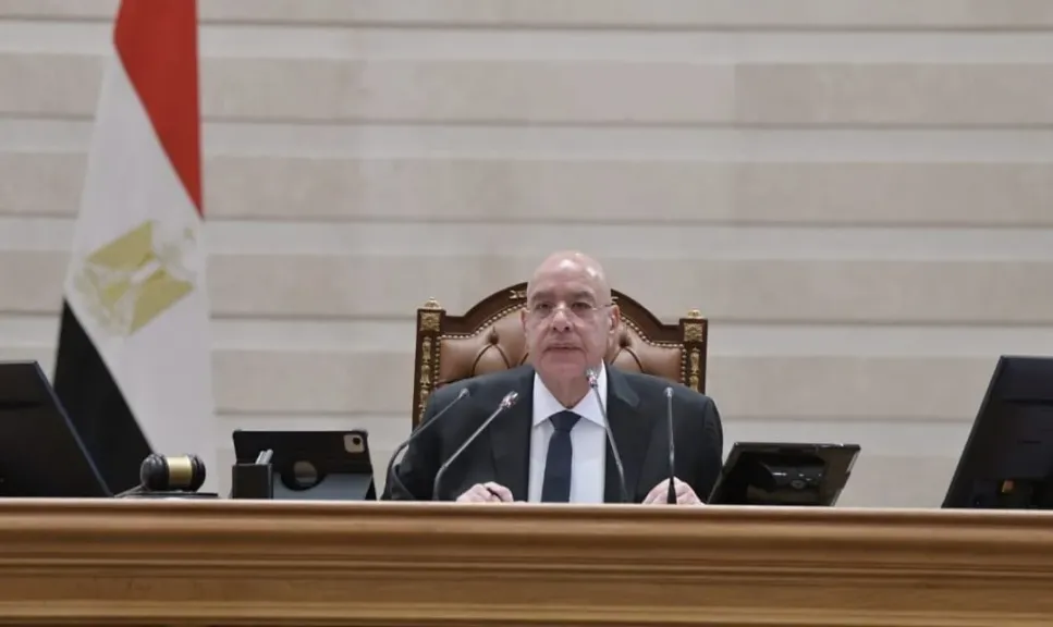 المستشار هشام بدوي، رئيس المجلس
