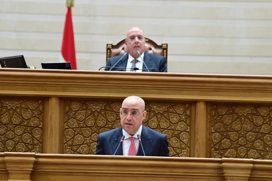 المستشار هشام بدوي