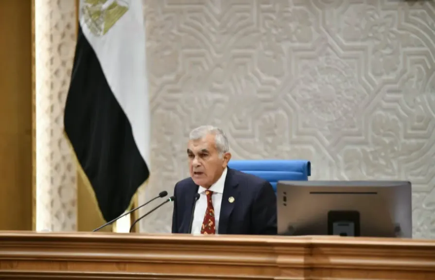 المستشار عصام فريد