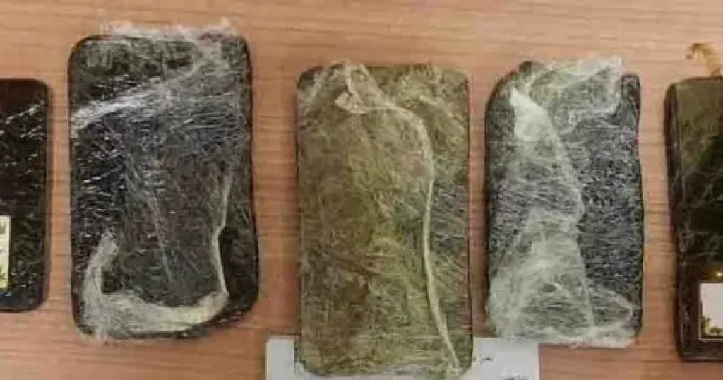 المضبوطات 