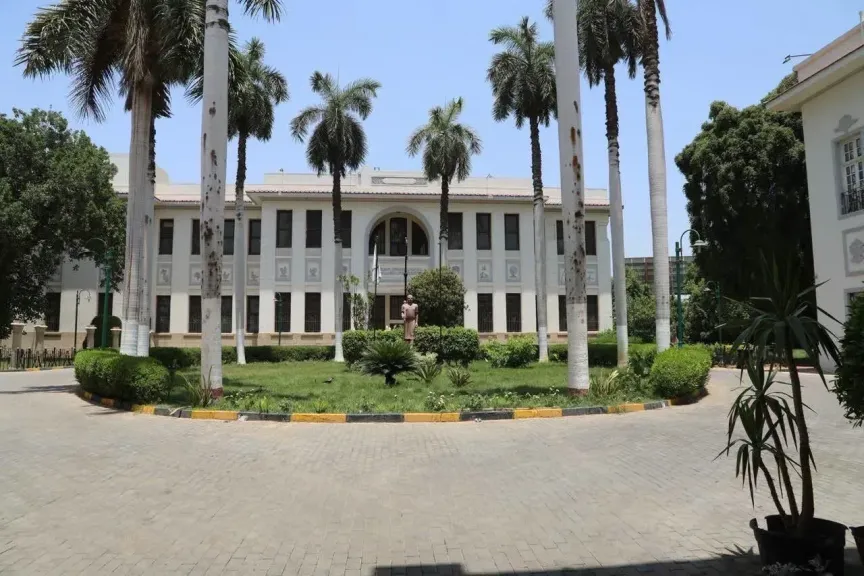 الزراعة 