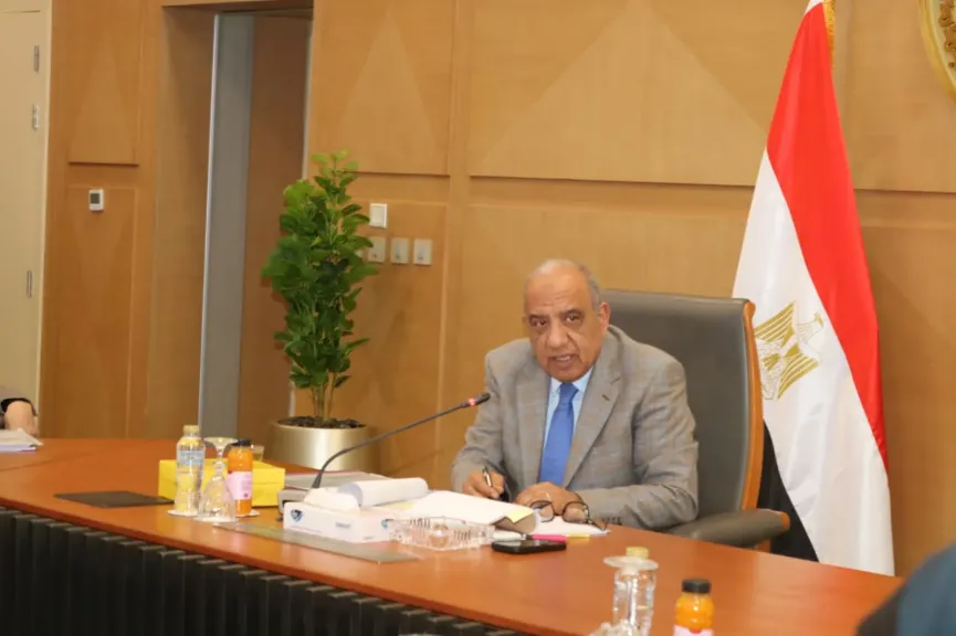 الدكتور محمود عصمت وزير الكهرباء والطاقة المتجددة