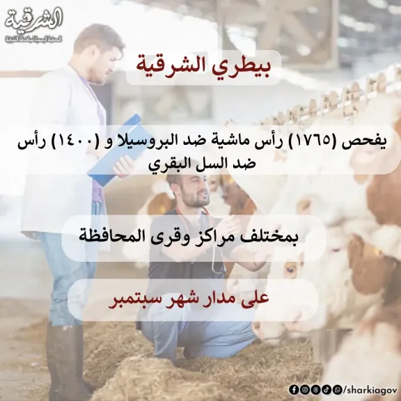 بيان بالنشاط