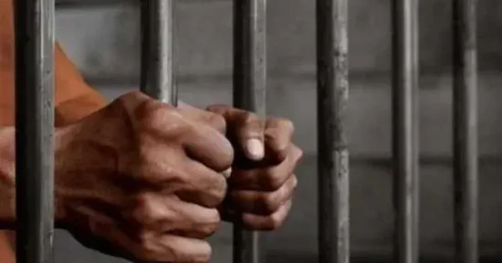 أرشيفة
