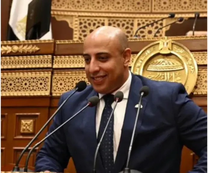 النائب محمد سمير مكى 