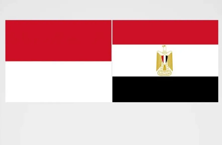 مصر وأندونيسيا