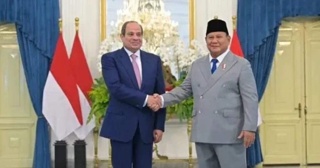 السيد الرئيس السيسي