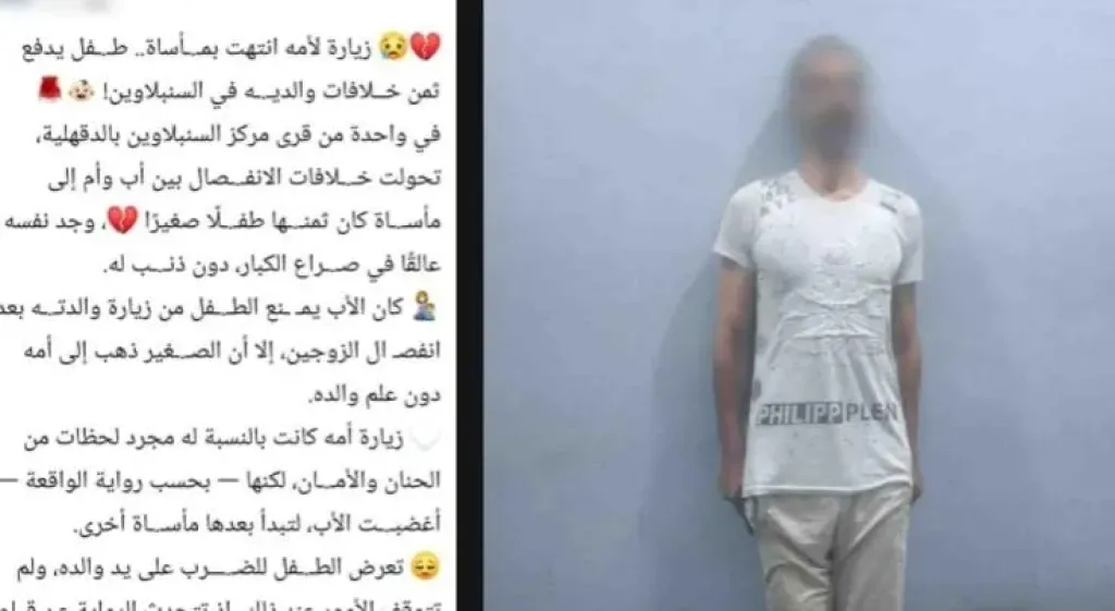 ضبط مزارع للتعدي على نجله بالضرب بسبب زيارة والدته بالدقهلية