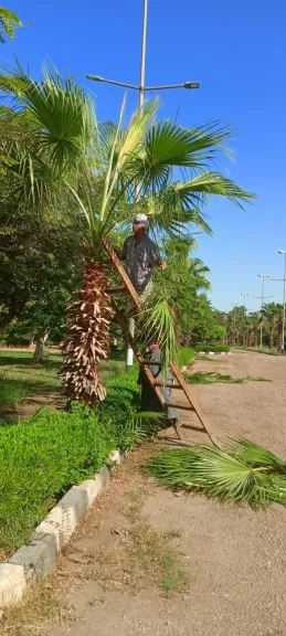 جانب من متابعة 