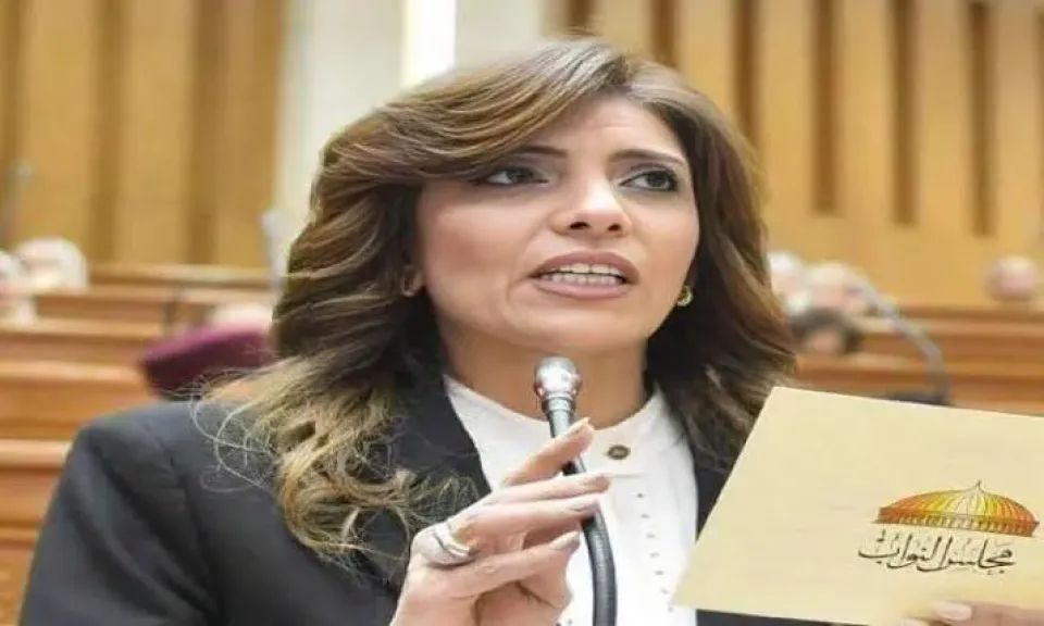النائبة رانيا الشيمي، عضو لجنة الصناعة بمجلس النواب