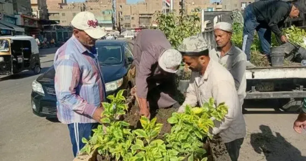 زراعة النباتات  