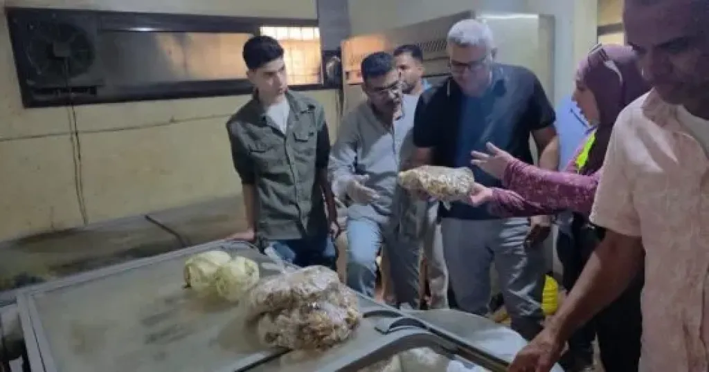 المضبوطات 