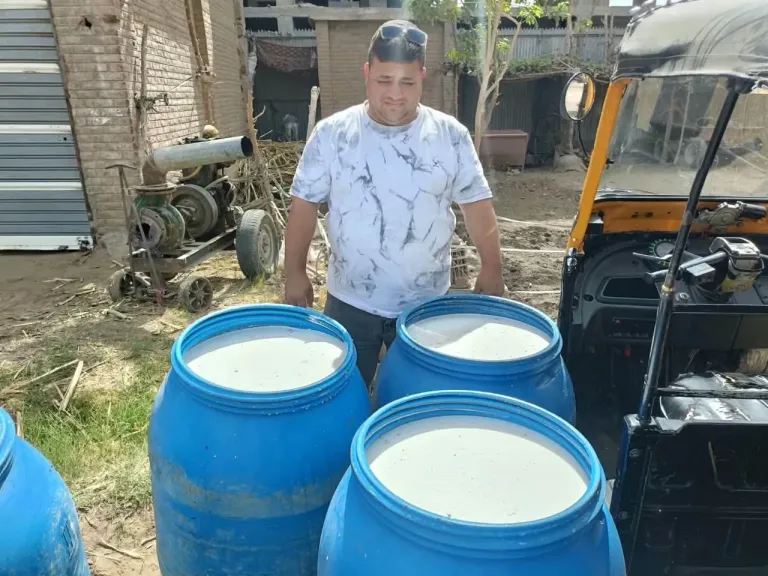 المضبوطات 