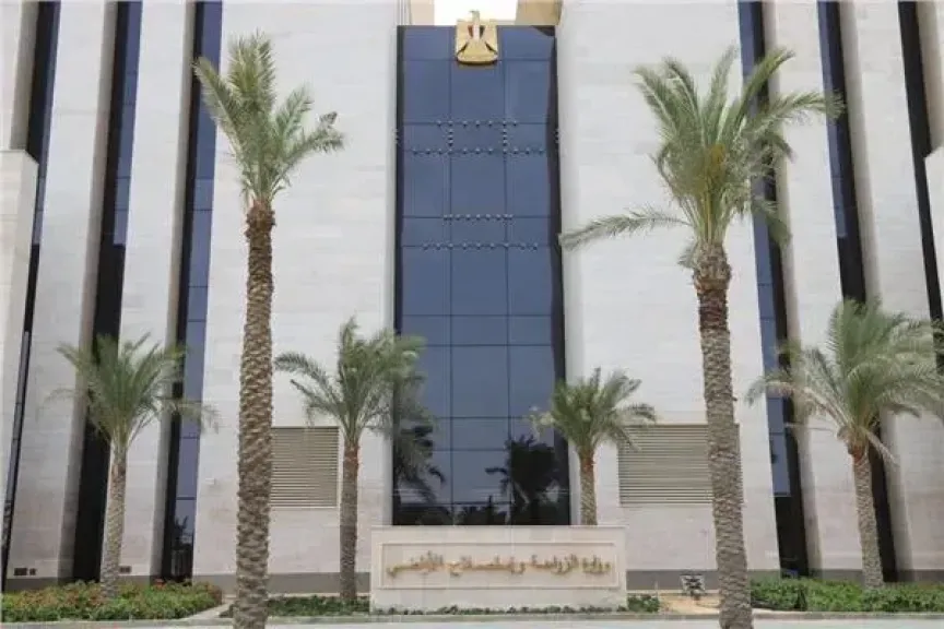 الزراعة 