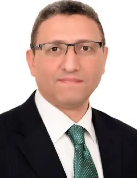 المستشار أحمد سعد الدين