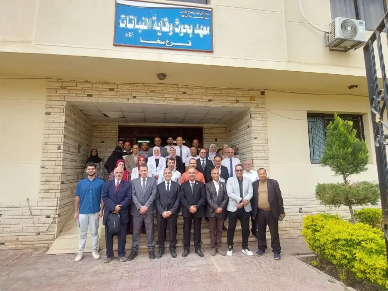 الزراعة: «وقاية النباتات» ينظم برنامجا تدريبيا لتعزيز تنافسية النباتات الطبية والعطرية في الأسواق التصديرية