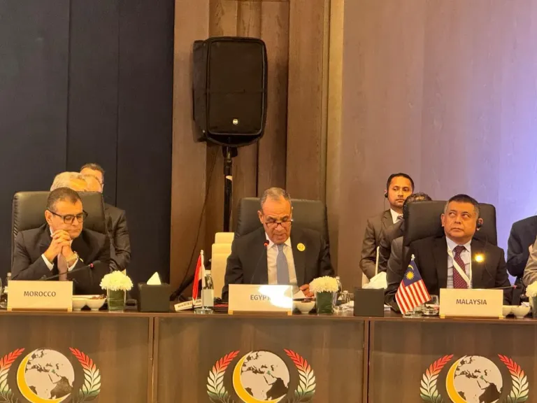 وزير الخارجية يلقي كلمة مصر في اجتماعات الدورة الـ٥٢ لمجلس وزراء خارجية منظمة التعاون الإسلامي