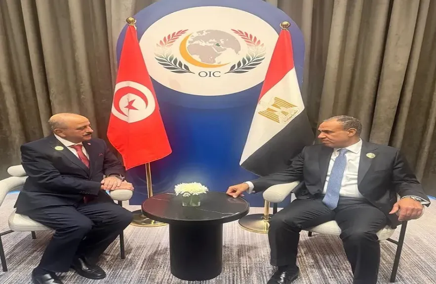 وزيرا خارجية مصر وتونس