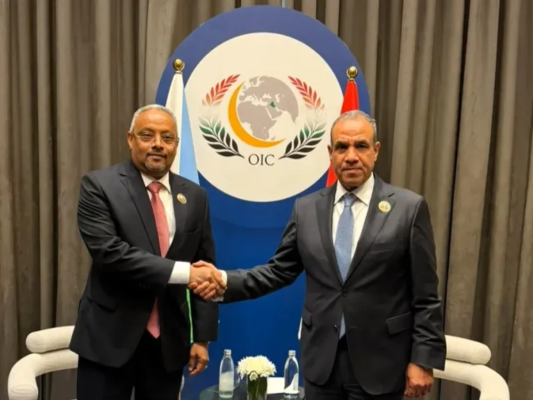 وزير الخارجية يلتقي نظيره الجيبوتي