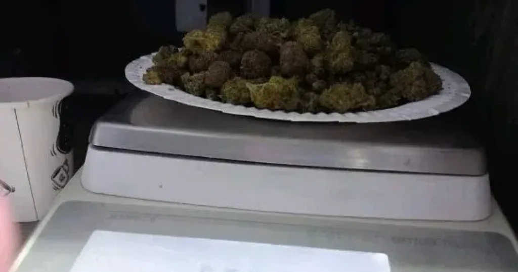 المضبوطات 