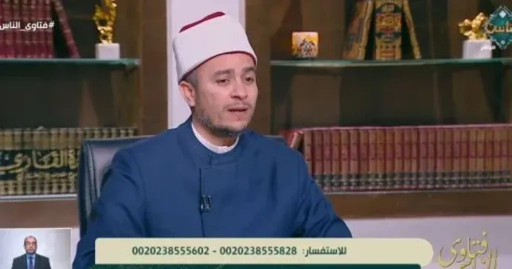 محمود شلبي  