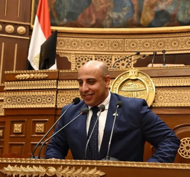 النائب محمد سمير مكي