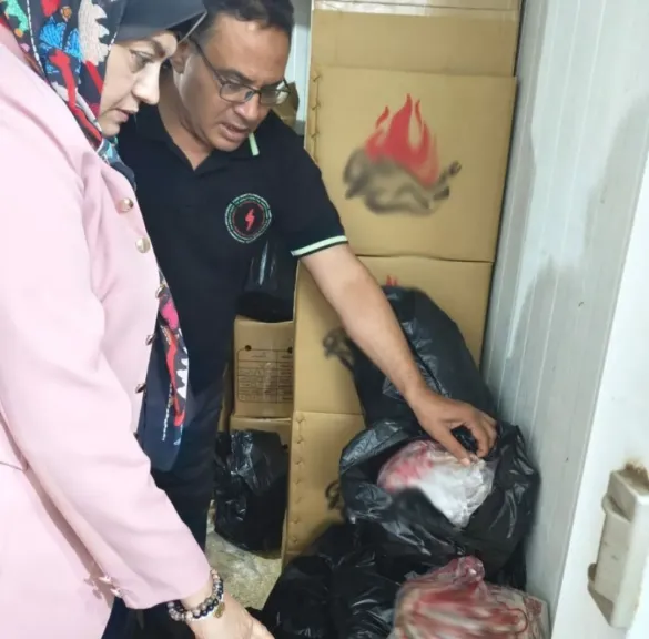 حملات تموينية 
