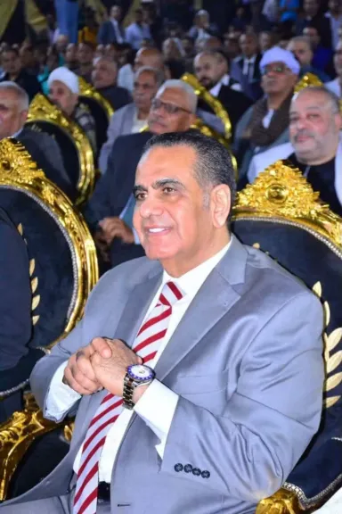 المستشار أحمد حبيب