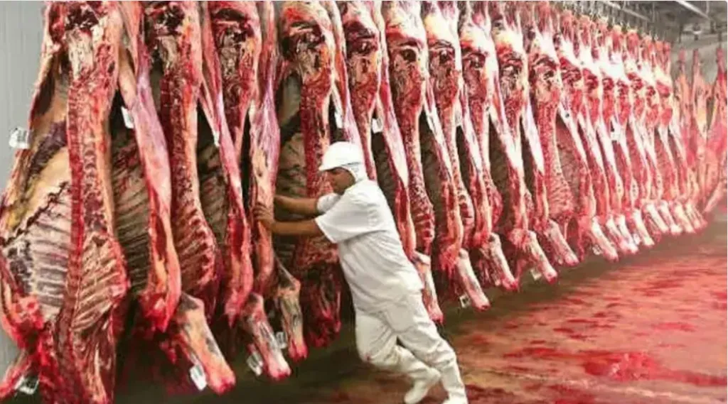 لحوم برازيلية