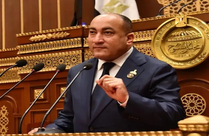 النائب عمرو رشاد عضو مجلس الشيوخ
