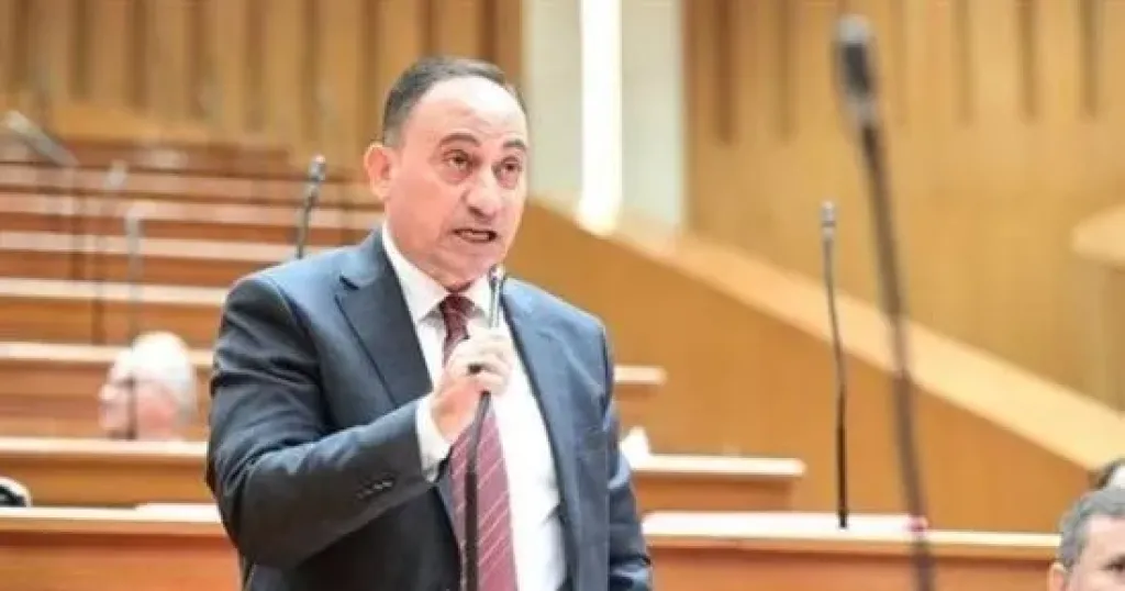 النائب محمد زين الدين