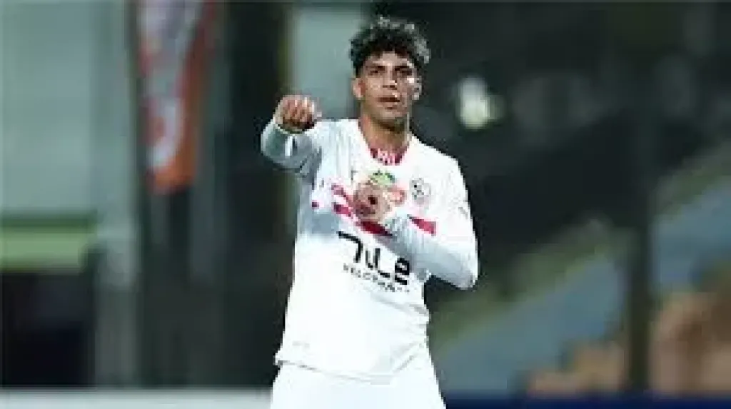 محمد السيد