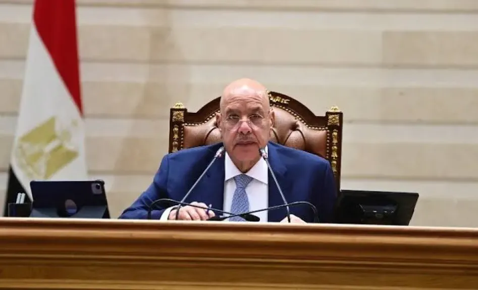 المستشار هشام بدوي 
