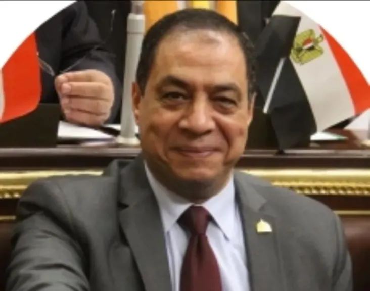 الكاتب الصحفي حسني حافظ