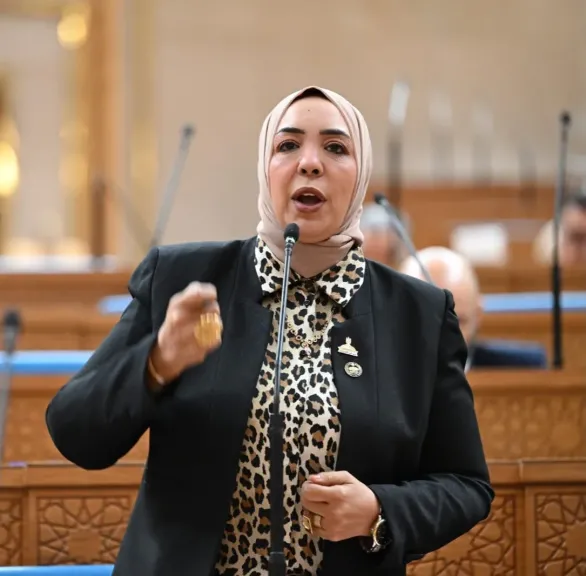 النائبة وفاء رشاد 