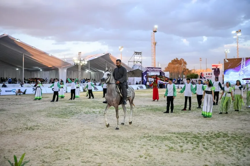 جانب من العروض