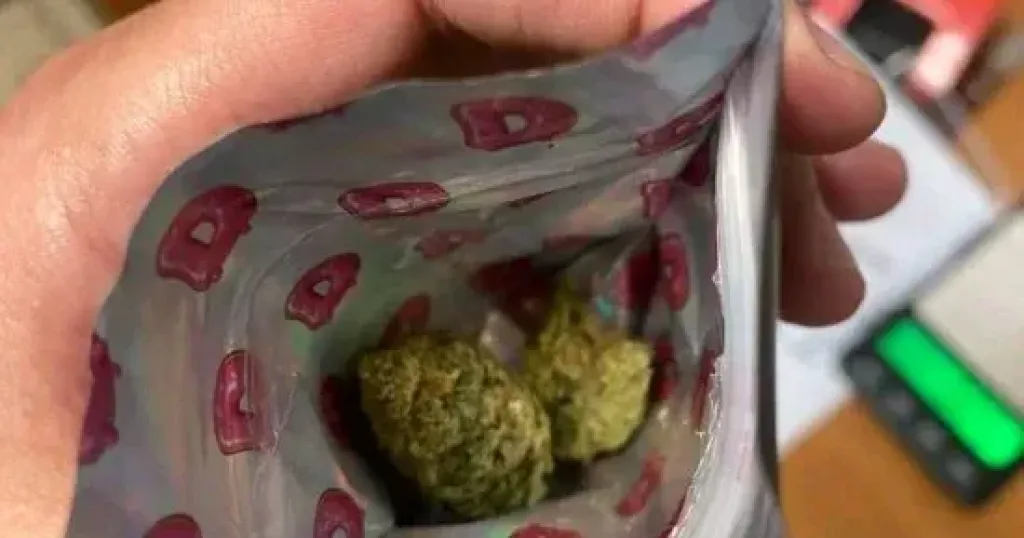 المضبوطات 