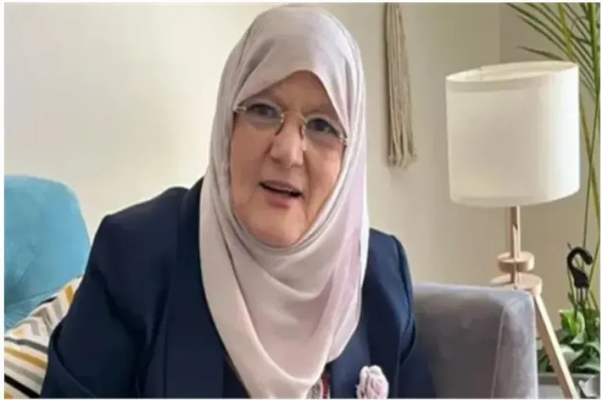 شمس البارودى