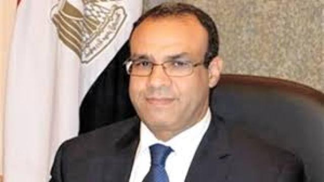 السفير بدر عبد العاطي