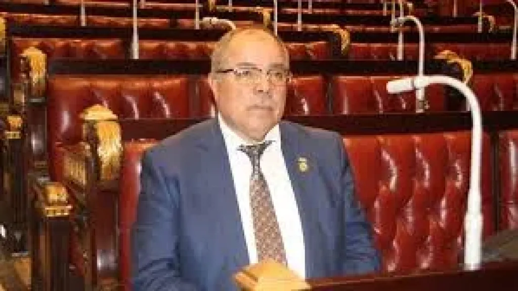 النائب إسماعيل نصر الدين