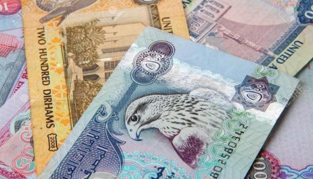 الدرهم الاماراتي