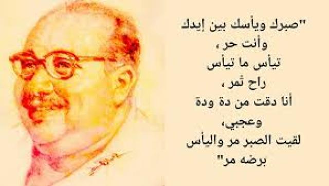احمد حلمي 