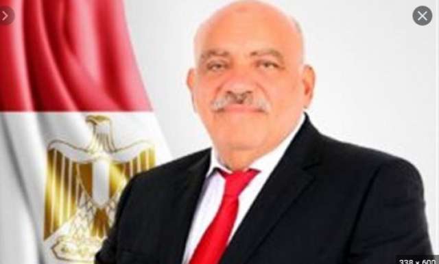 النائب سيد حنفى
