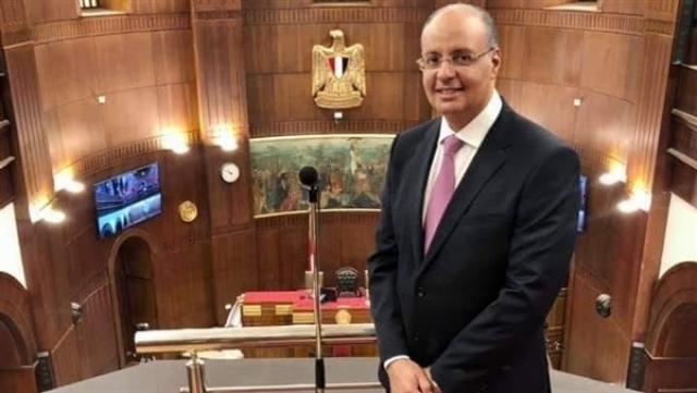 النائب أحمد أبو الدهب