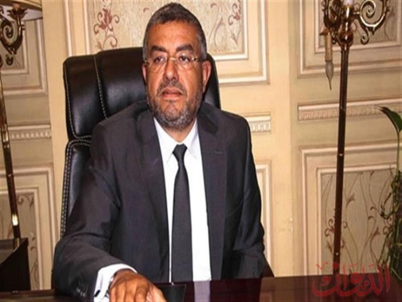 المهندس عماد سعد حمودة