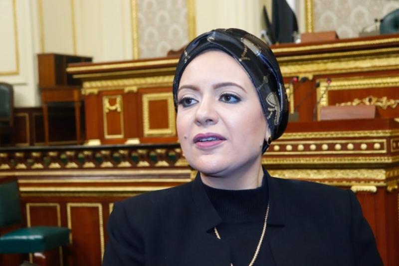 النائبة ريهام عبدالنبي