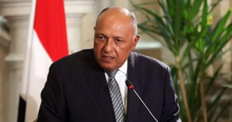 سامح شكري وزير الخارجية